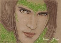 Guardian of the Forest